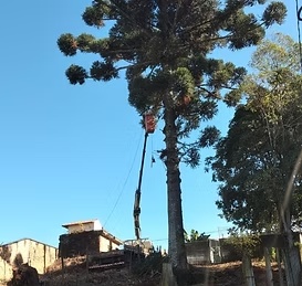 Terreno Bairro Funcionários - foto 2