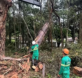 Residência Bairro Romã - foto 3