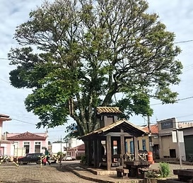 Prefeitura de Queluzito - foto 3