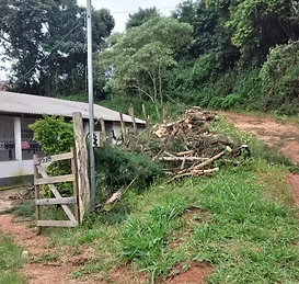 Cipreste Bairro Santo Antônio - foto 2