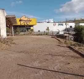 Distribuidora Tarumã - foto 3